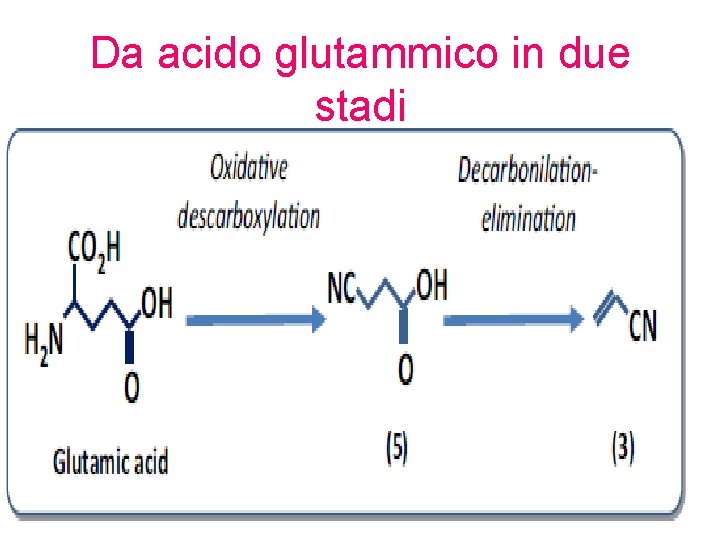 Da acido glutammico in due stadi 