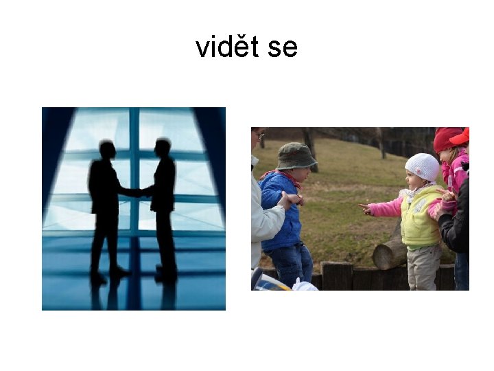 vidět se 