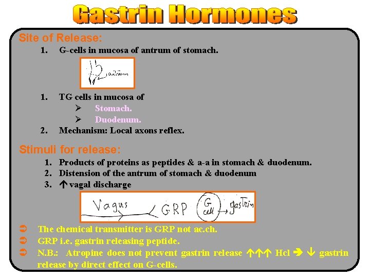 Site of Release: 1. G-cells in mucosa of antrum of stomach. 1. TG cells