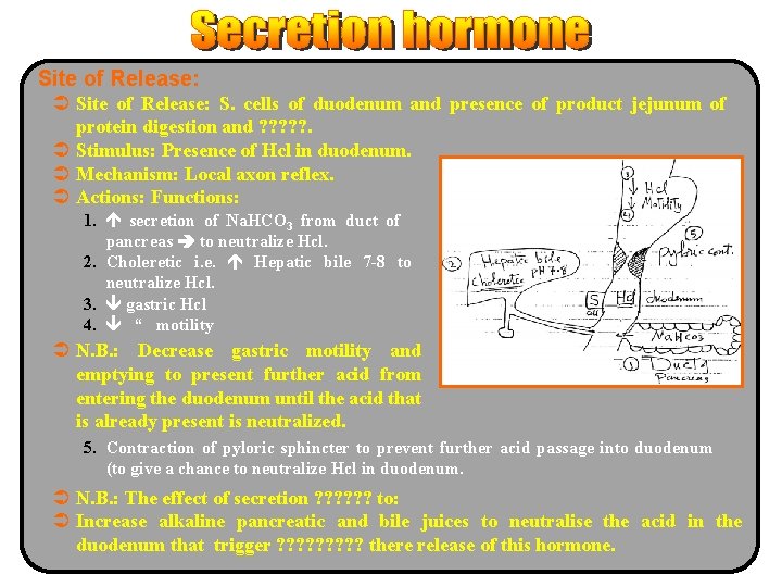Site of Release: Ü Site of Release: S. cells of duodenum and presence of