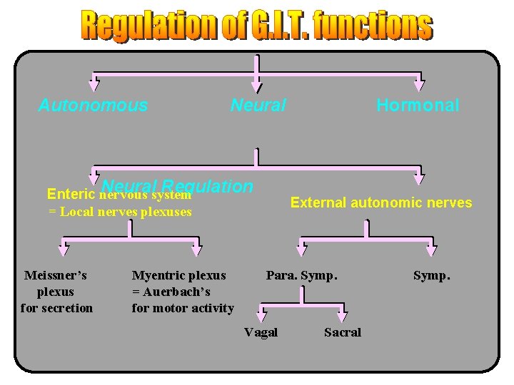 Autonomous Neuralsystem Regulation Enteric nervous = Local nerves plexuses Meissner’s plexus for secretion Myentric