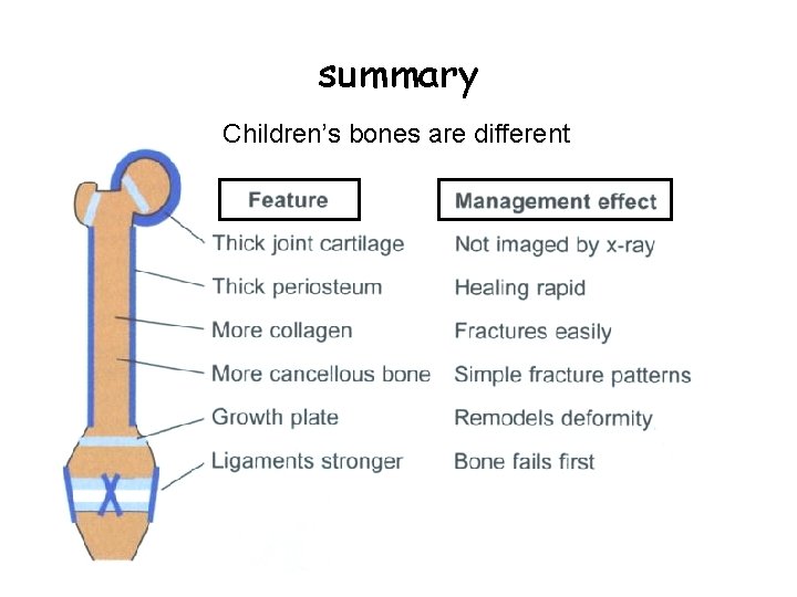 summary Children’s bones are different 