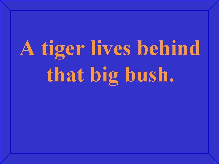 A tiger lives behind that big bush. 