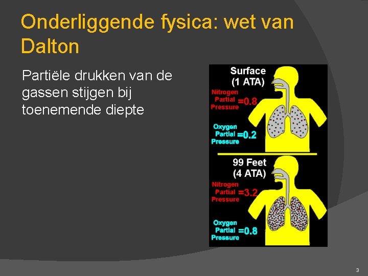 Onderliggende fysica: wet van Dalton Partiële drukken van de gassen stijgen bij toenemende diepte