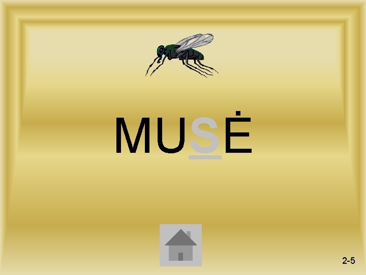 MUSĖ 2 -5 