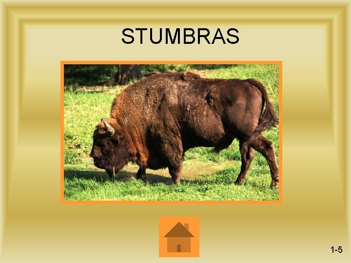 STUMBRAS 1 -5 