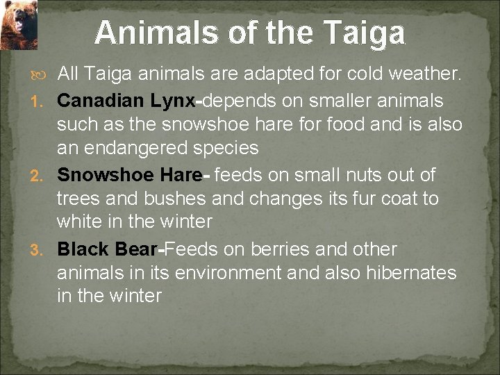 Animals of the Taiga All Taiga animals are adapted for cold weather. 1. Canadian