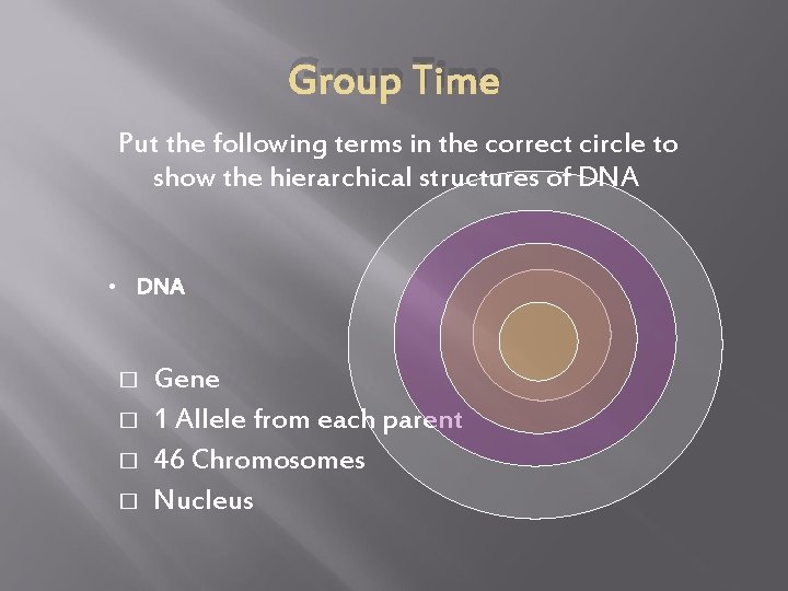 Group Time Put the following terms in the correct circle to show the hierarchical