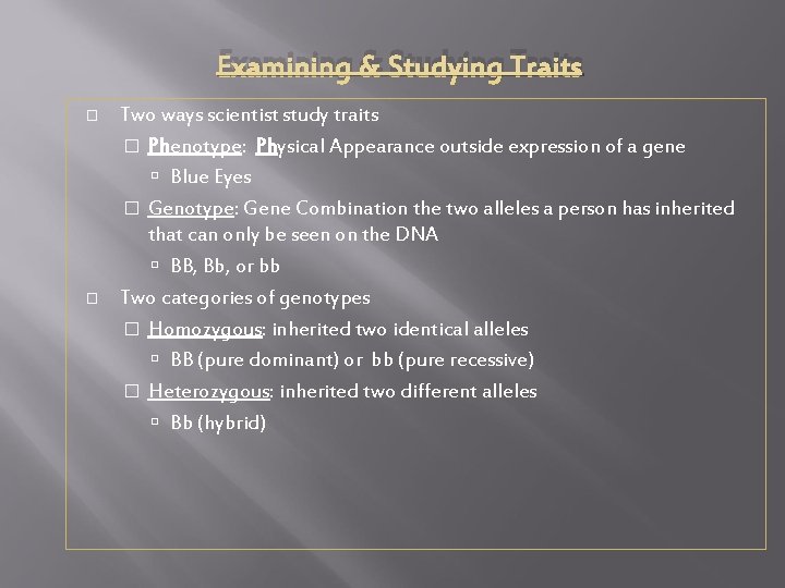 Examining & Studying Traits � � Two ways scientist study traits � Phenotype: Physical