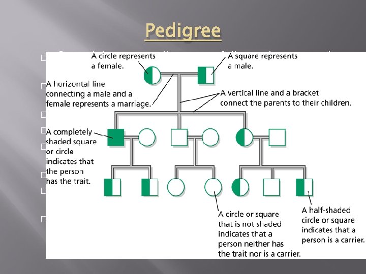 Pedigree � � � � Geneticist use pedigrees to follow a human trait to