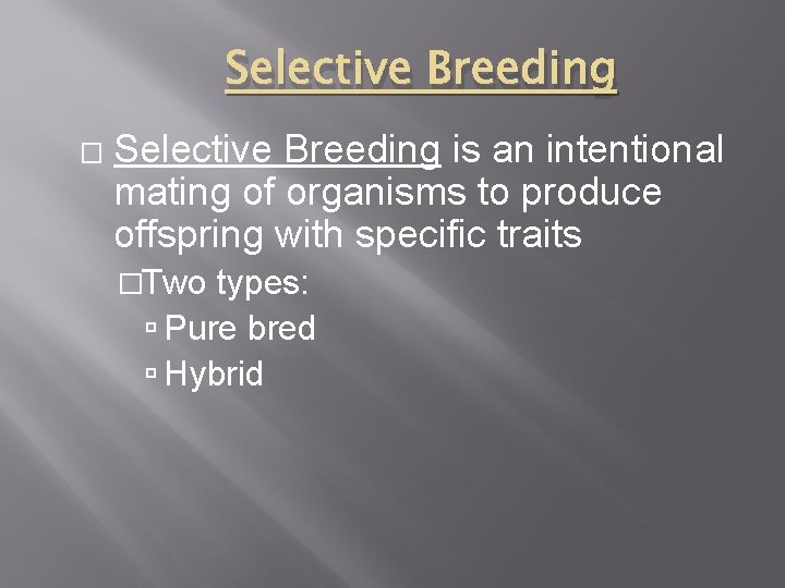 Selective Breeding � Selective Breeding is an intentional mating of organisms to produce offspring