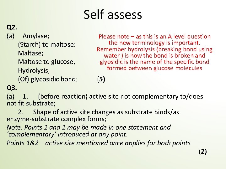 Self assess Q 2. (a) Amylase; Please note – as this is an A