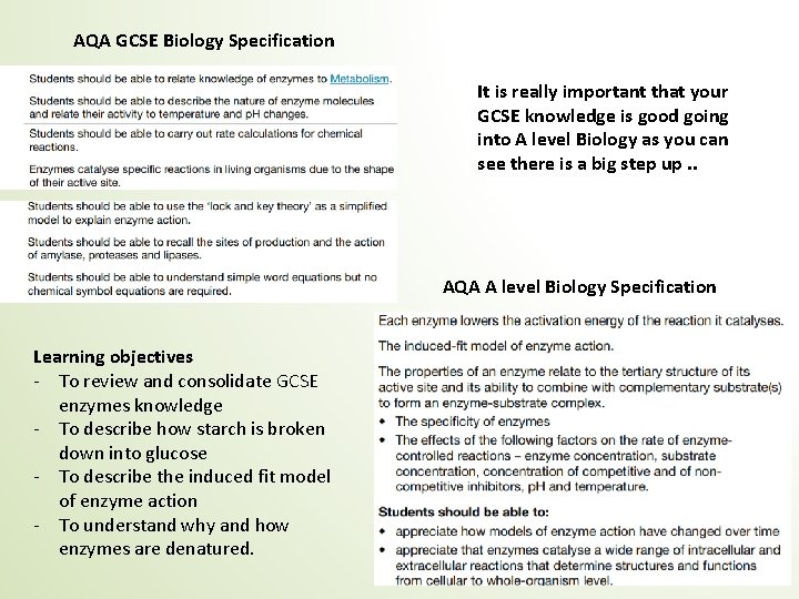 AQA GCSE Biology Specification It is really important that your GCSE knowledge is good