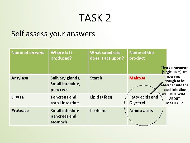 TASK 2 Self assess your answers Name of enzyme Where is it produced? What