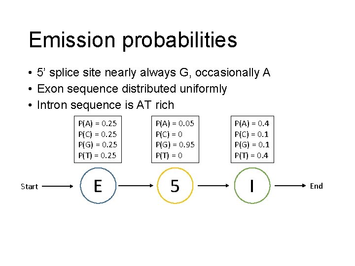 Emission probabilities • 5’ splice site nearly always G, occasionally A • Exon sequence
