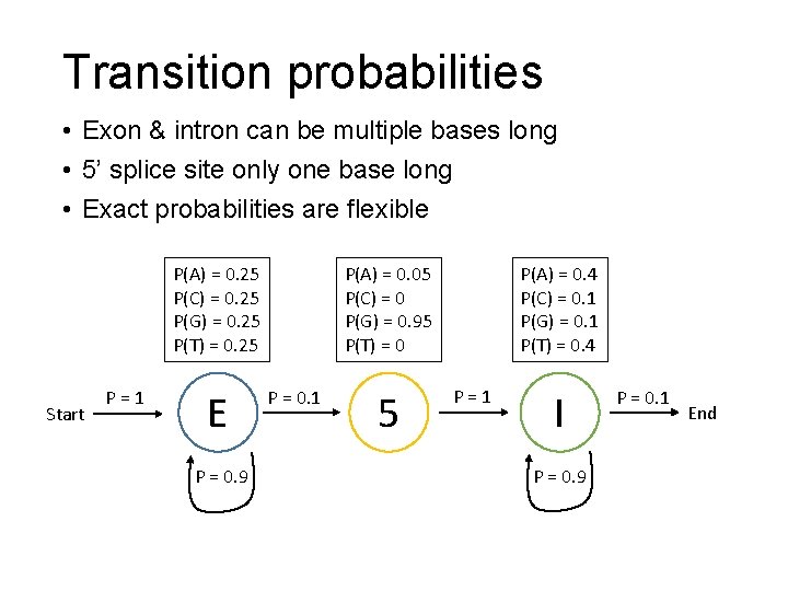 Transition probabilities • Exon & intron can be multiple bases long • 5’ splice
