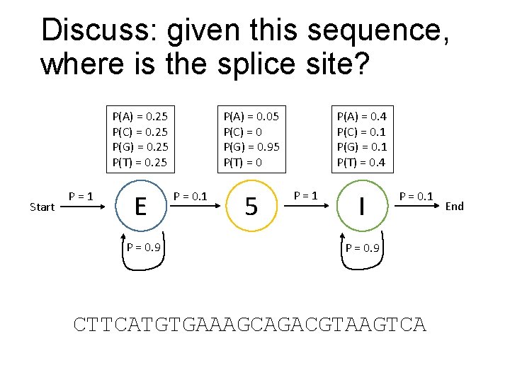 Discuss: given this sequence, where is the splice site? P(A) = 0. 05 P(C)