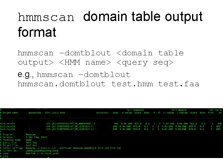 hmmscan domain table output format hmmscan –domtblout <domain table output> <HMM name> <query seq>
