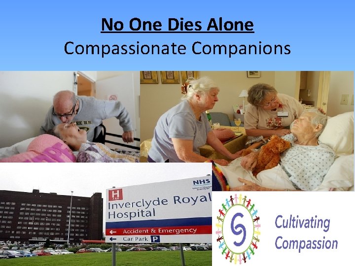 No One Dies Alone Compassionate Companions 