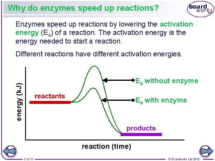 Why do enzymes speed up reactions? Enzymes speed up reactions by lowering the activation