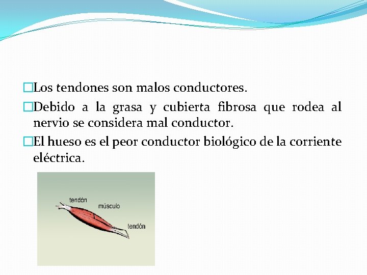�Los tendones son malos conductores. �Debido a la grasa y cubierta fibrosa que rodea