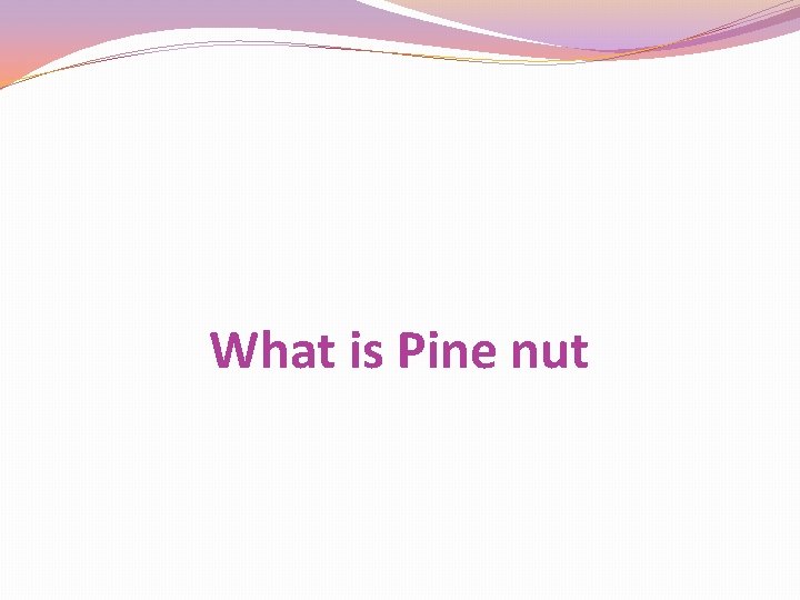 What is Pine nut 