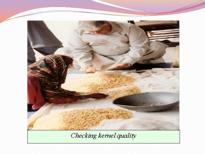 Checking kernel quality 