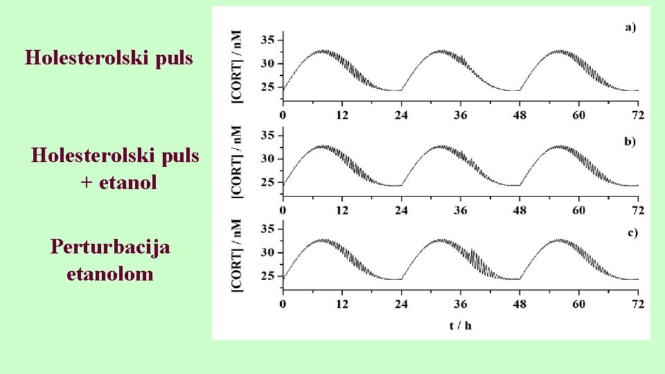 Holesterolski puls + etanol Perturbacija etanolom 