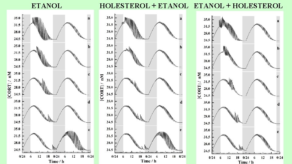 ETANOL HOLESTEROL + ETANOL + HOLESTEROL 32 