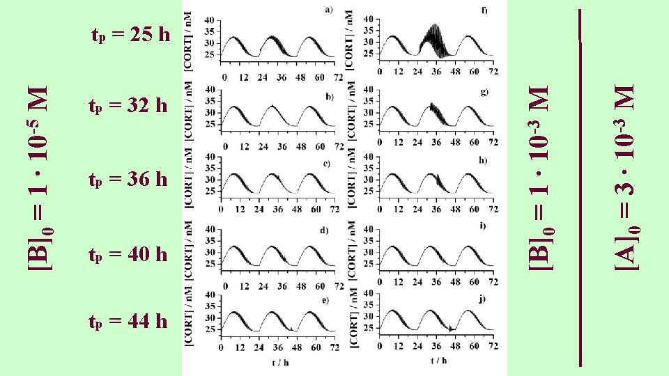 [B]0 = 1 ∙ 10 -5 M tp = 32 h tp = 36