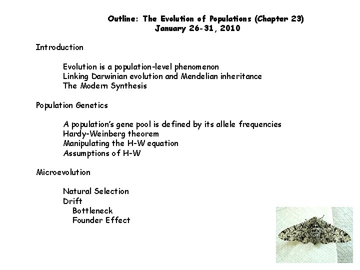 The Evolution of Populations Chapter 23 BCOR 012