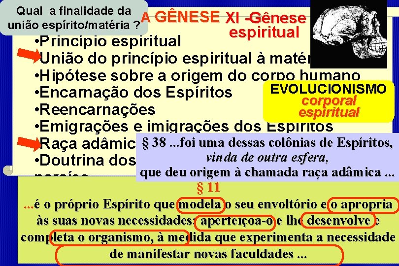 Qual a finalidade da A GÊNESE união espírito/matéria ? XI -Gênese espiritual • Princípio