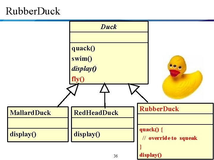 Rubber. Duck quack() swim() display() fly() Mallard. Duck display() Red. Head. Duck display() 36