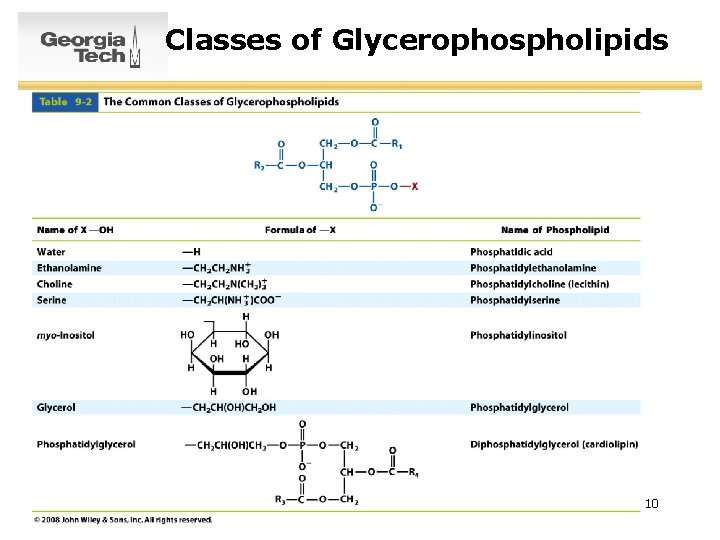 Classes of Glycerophospholipids 10 