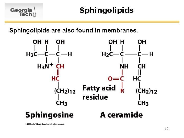 Sphingolipids are also found in membranes. 12 