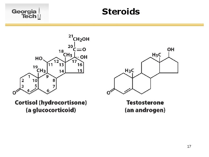 Steroids 17 