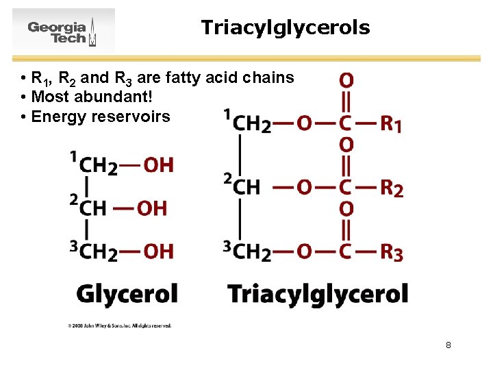 Triacylglycerols • R 1, R 2 and R 3 are fatty acid chains •