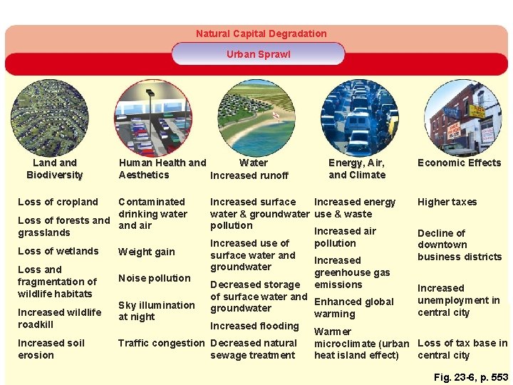 Natural Capital Degradation Urban Sprawl Land Biodiversity Loss of cropland Human Health and Water