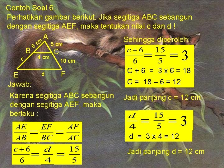 Contoh Soal 6: Perhatikan gambar berikut. Jika segitiga ABC sebangun dengan segitiga AEF, maka