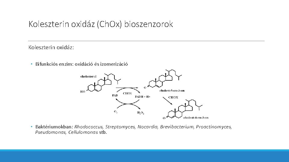 Koleszterin oxidáz (Ch. Ox) bioszenzorok Koleszterin oxidáz: • Bifunkciós enzim: oxidáció és izomerizáció •
