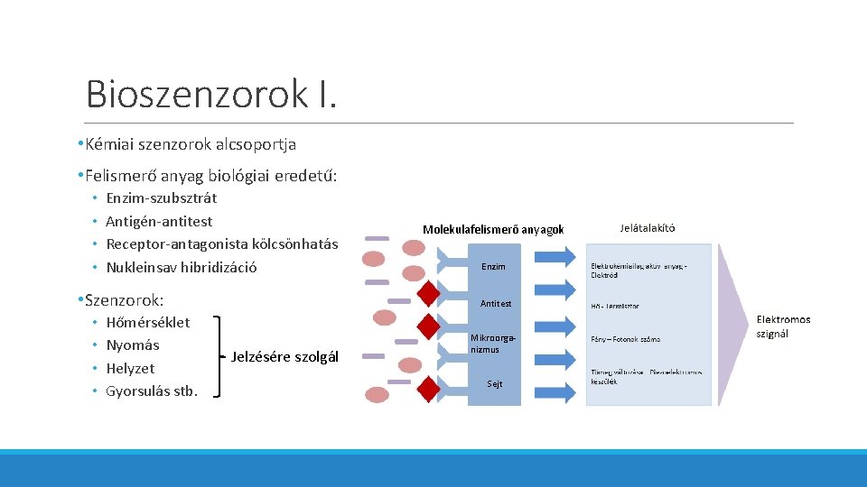 Bioszenzorok I. • Kémiai szenzorok alcsoportja • Felismerő anyag biológiai eredetű: • • Enzim-szubsztrát