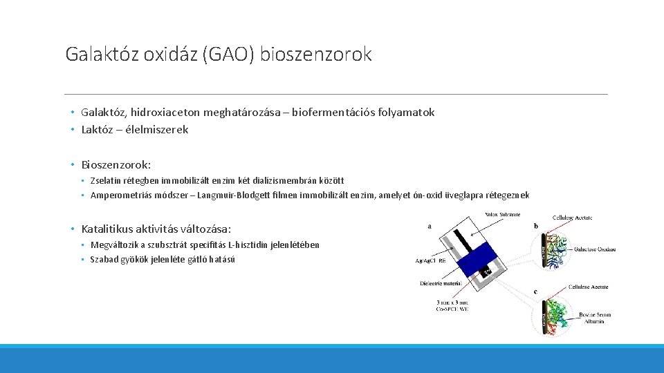 Galaktóz oxidáz (GAO) bioszenzorok • Galaktóz, hidroxiaceton meghatározása – biofermentációs folyamatok • Laktóz –