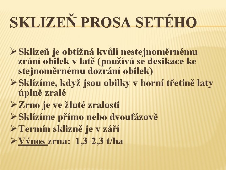 SKLIZEŇ PROSA SETÉHO Ø Sklizeň je obtížná kvůli nestejnoměrnému zrání obilek v latě (používá