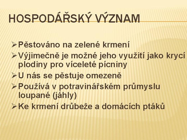 HOSPODÁŘSKÝ VÝZNAM Ø Pěstováno na zelené krmení Ø Výjimečně je možné jeho využití jako