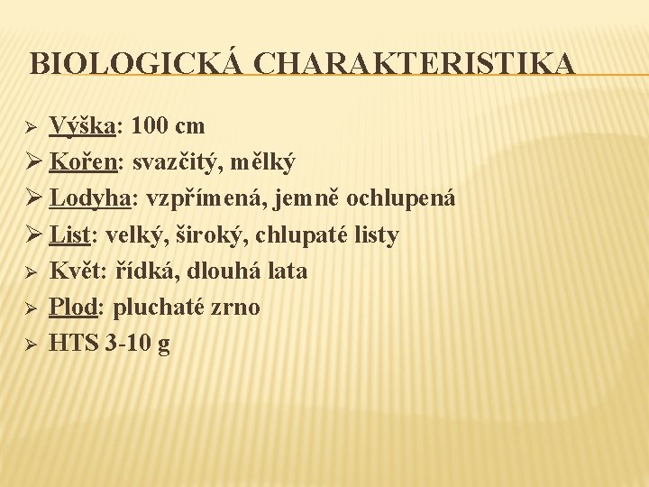 BIOLOGICKÁ CHARAKTERISTIKA Výška: 100 cm Ø Kořen: svazčitý, mělký Ø Lodyha: vzpřímená, jemně ochlupená