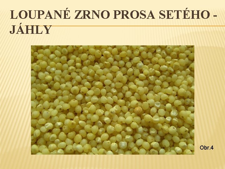 LOUPANÉ ZRNO PROSA SETÉHO JÁHLY Obr. 4 