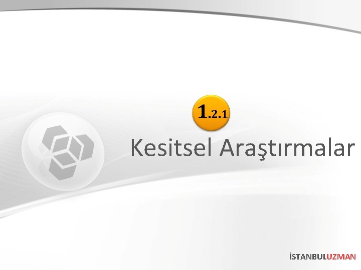 1. 2. 1 Kesitsel Araştırmalar İSTANBULUZMAN 