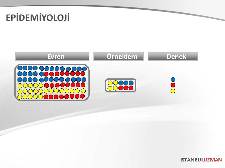 Evren Örneklem Denek İSTANBULUZMAN 