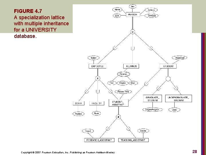 FIGURE 4. 7 A specialization lattice with multiple inheritance for a UNIVERSITY database. Copyright