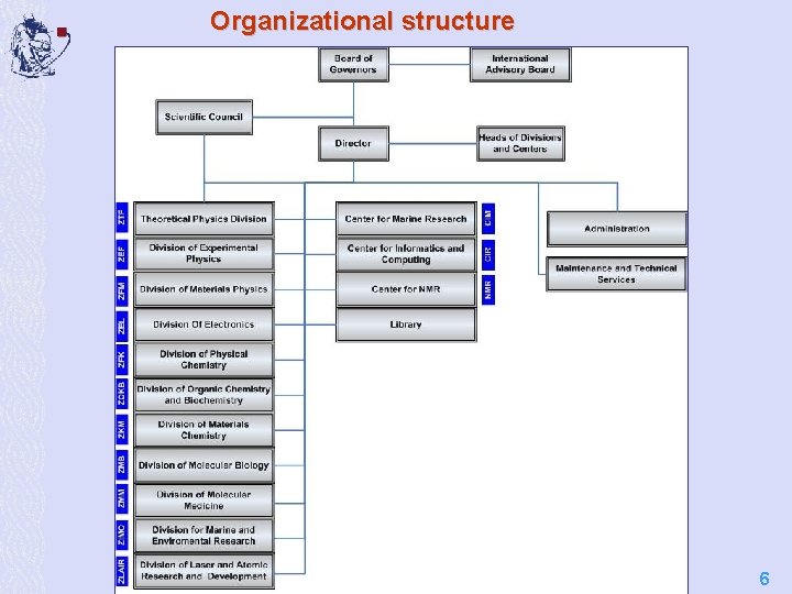 Organizational structure 6 